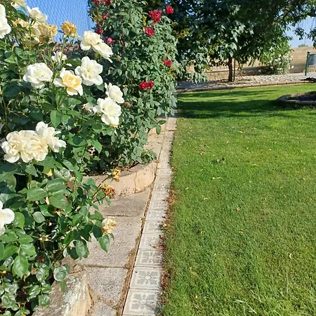 Holiday home El Almendro Del Cura Villarmayor (Castile and Leon)