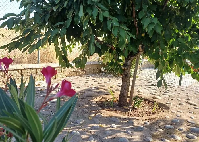 El Almendro Del Cura