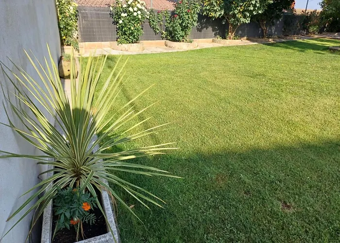 El Almendro Del Cura Casa vacanze Villarmayor (Castile and Leon)