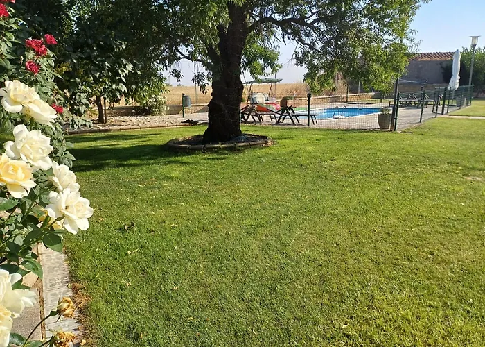 El Almendro Del Cura Villarmayor (Castile and Leon)