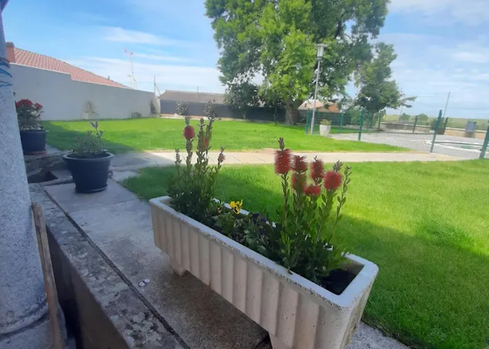 El Almendro Del Cura * Villarmayor (Castile and Leon)