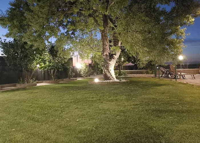 El Almendro Del Cura